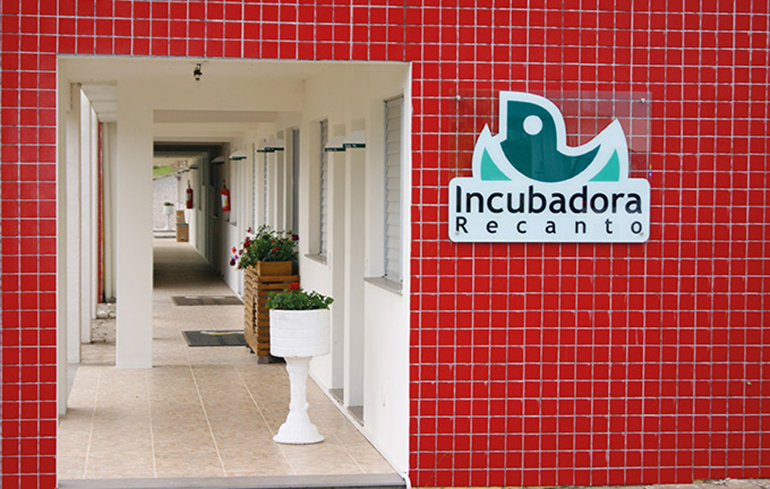 Incubadora Recanto