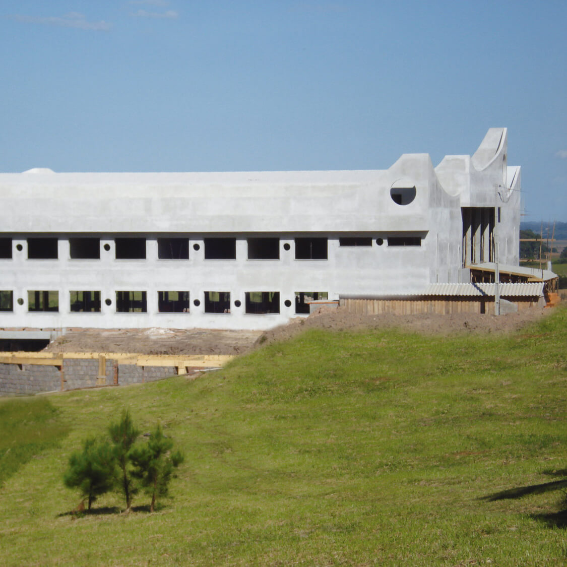 Institucional 2009