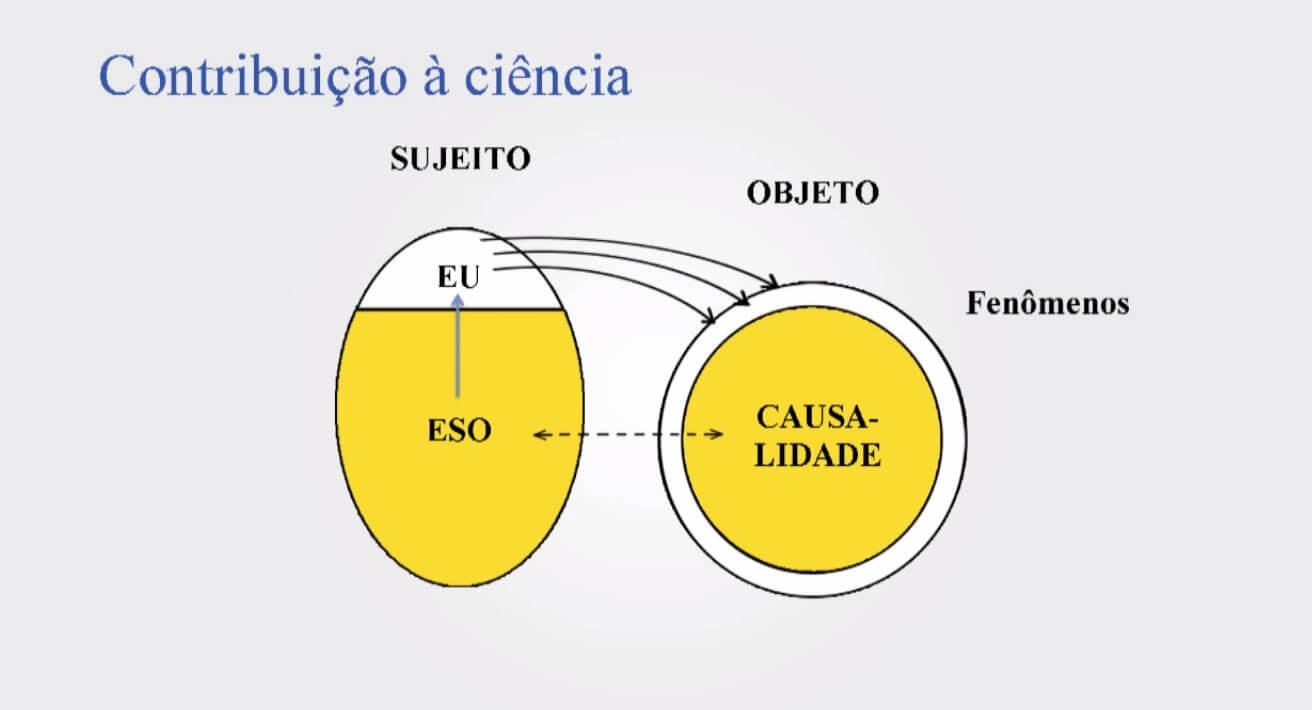 Vídeo AMF