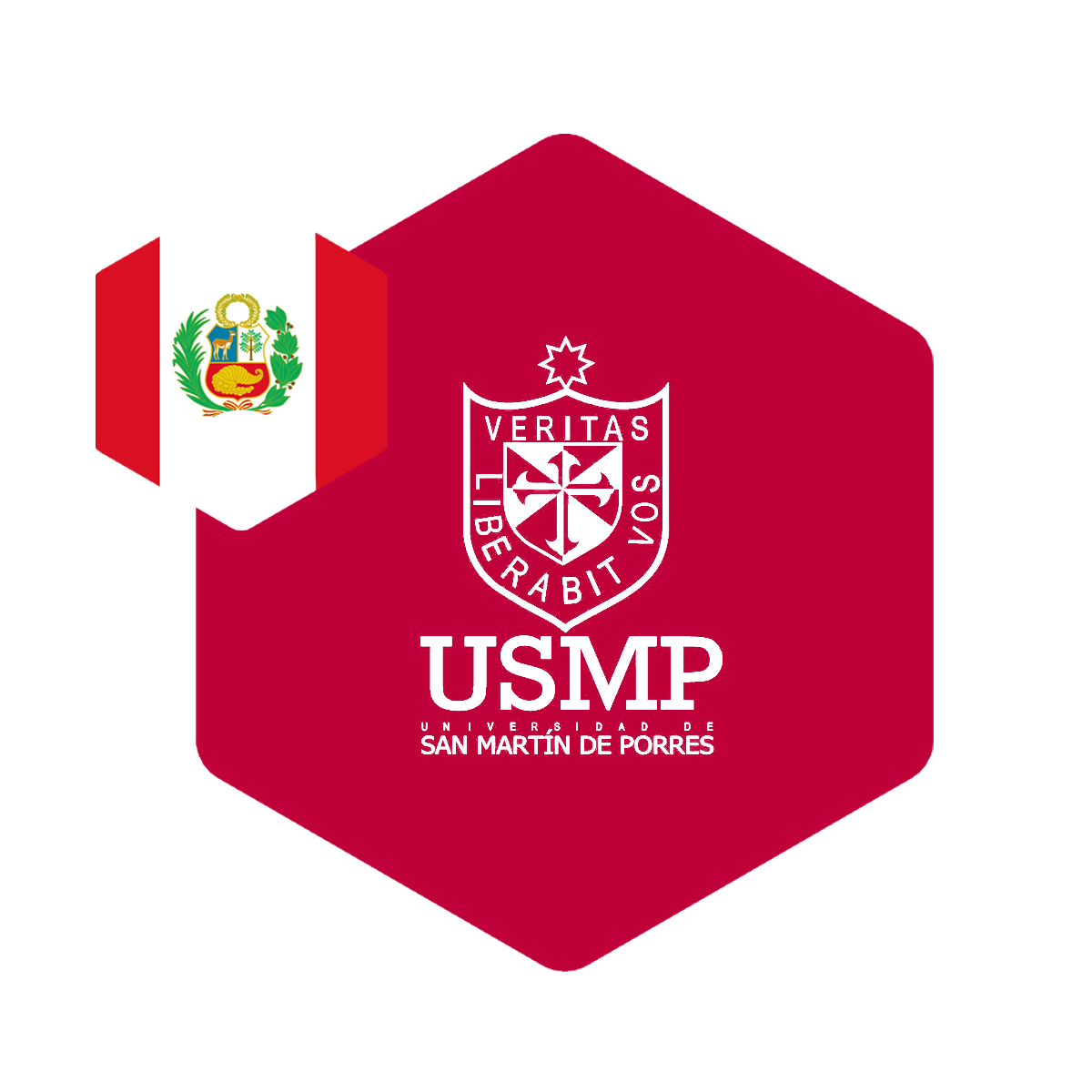 Universidad San Martín de Porres