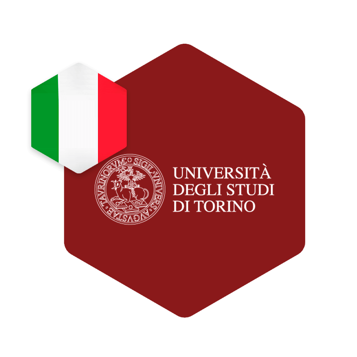 Università degli Studi di Torino (Unito)