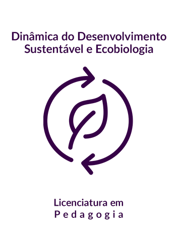 Semestres Administração