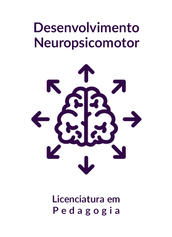 Semestres Administração