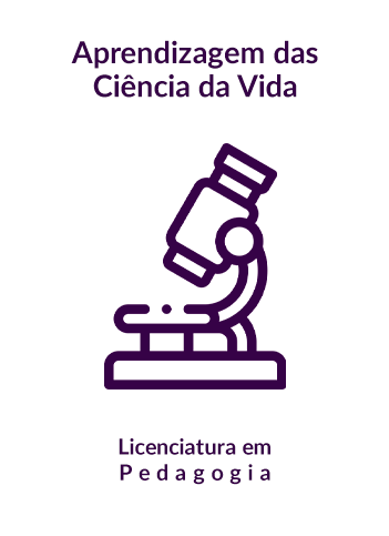 Semestres Administração